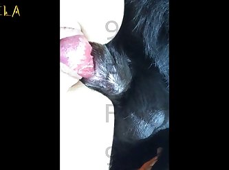 Naruto Animal Path Porn