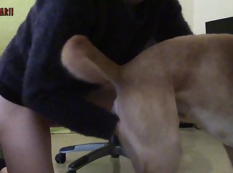 Beeg Animal Porn