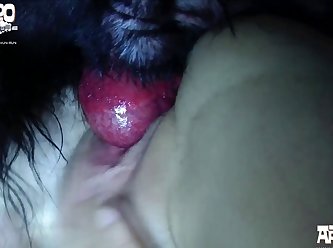 Gay Fucking Animal Porn