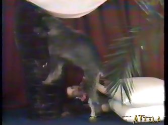 Male Animal Transformation Porn