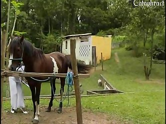 Animal Porn Female Horse