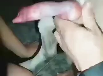 Tickzoo Alternativen