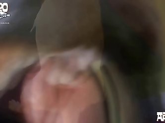 Zoofilia Real Gay