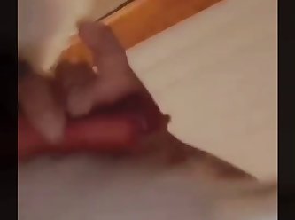 Exvideos Zoofilia
