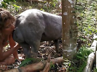Zoofilia Mulher Com Cavalos