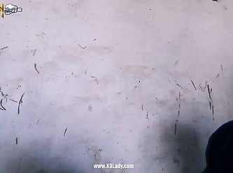 Xvideos. Com Zoofilia