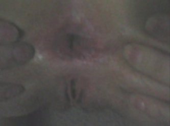 Zoofilia Porno Twitter