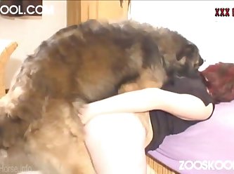 Zoofilia No