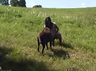 Videos Recientes De Zoofilia
