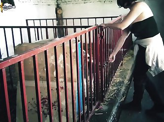Relatos Zoofilia Mujer