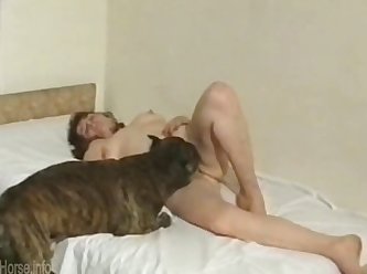 Gay Zoofilia Tube
