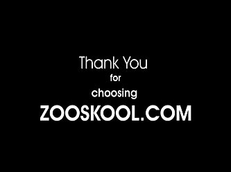 Canal De Telegram De Zoofilia