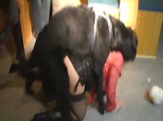 Comendo Cu Zoofilia