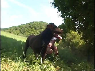 Videos Prohibidos De Zoofilia