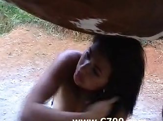 Breastfeeding Puppy Zoofilia