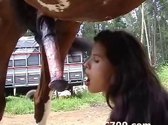 Zoofilia Homem Comendo Cavalo