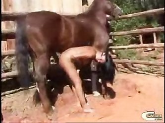 Zoofilia Sexo Brutal