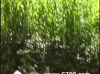 Zoofilia Xxx Lo Mas Nuevo