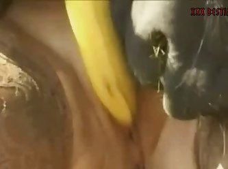 Videos Nuevos De Zoofilia Con Perras