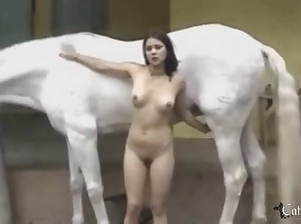Zoofilia Caballo Hd