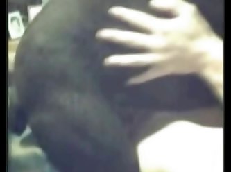 Perro Lame Culo Zoofilia