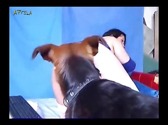 Zoofilia Xxx Jovencitas