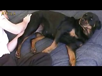 Teen Zoofilia Videos