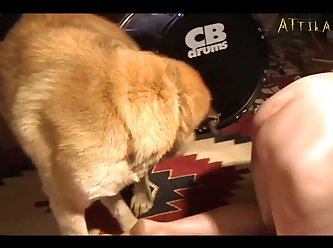 Extreme Pain Torture Porn