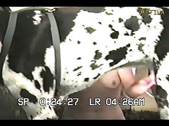 Porn Extreme Torture