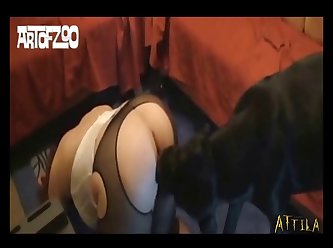 Extreme Cuck Humiliation Porn