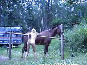 Extreme Headscissors Porn