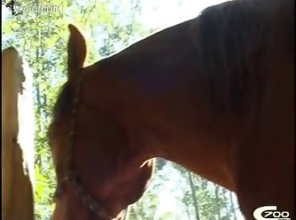 Extreme Bloody Whipping Porn