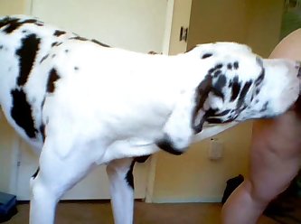 Animal Extreme Sex Porn