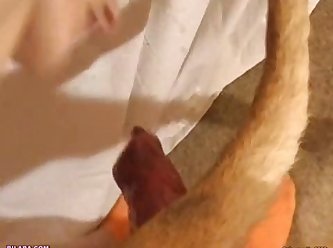Tube Lesbian Stripteese Group Extreme Porn