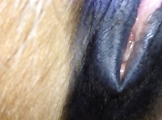 Extreme Feederism Porn