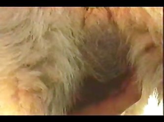 Best Extreme Porn Videos