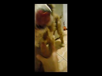 Free 3d Extreme Porn