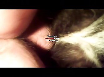 Animal Porn Extreme Facefuck