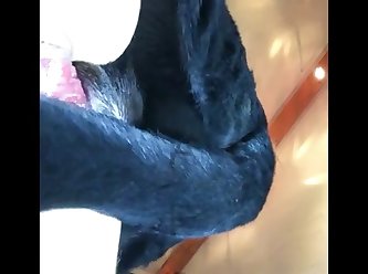 Extreme Max Porn
