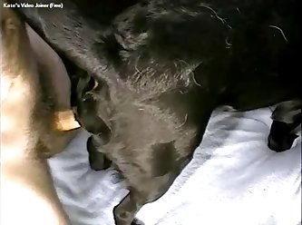 Extreme Wax Porn