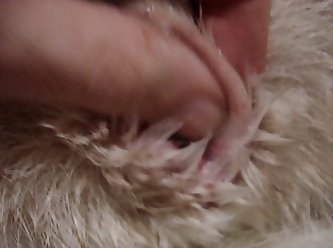 Extreme Vibrators Porn
