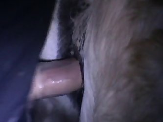 Barely Legal Extreme Porn