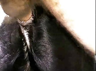 Extreme Forced Deepthroat Porn