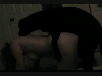 Animal Porn Extreme Verbal