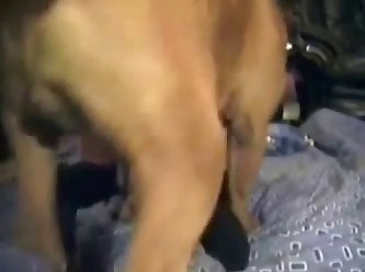 Extreme Animal Boy Porn