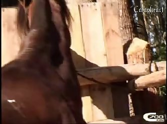 Extreme Ejaculation Porn