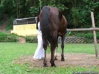 Extreme Machine Fucking Porn
