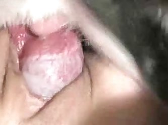 Most Extreme Porn List