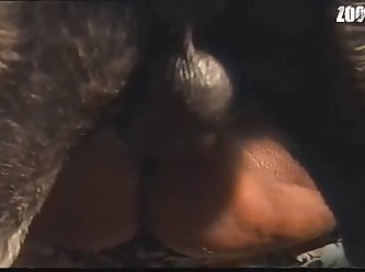 Extreme Zood Porn