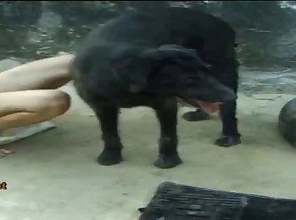 Extreme Anal Mature Porn